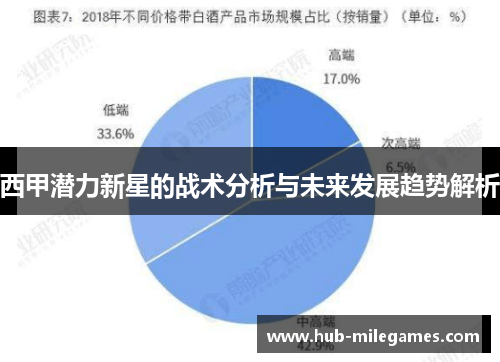 西甲潜力新星的战术分析与未来发展趋势解析